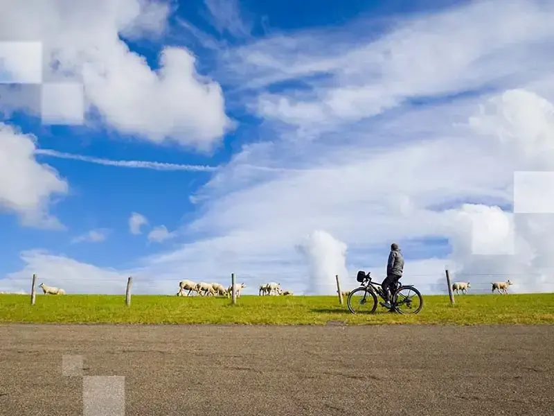 Take a break and greet the "locals"