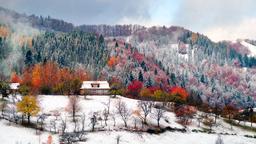 Carpathians holiday rentals