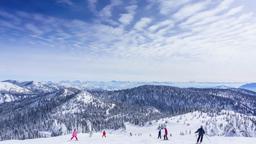 Whitefish Hotels