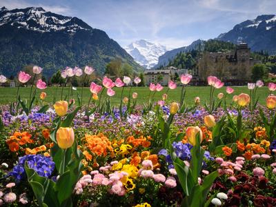 Interlaken