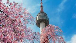 Find cheap flights to Seoul