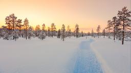 Lapland holiday rentals