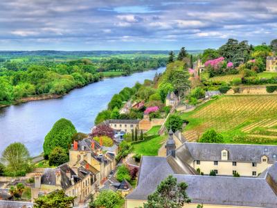 Chinon
