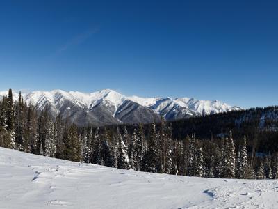 Ketchum