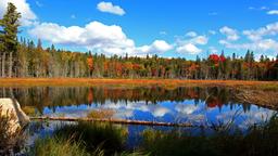 Algonquin Provincial Park holiday rentals