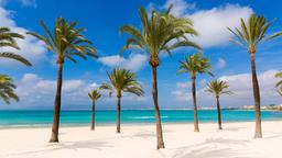 S'Arenal Hotels