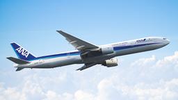 Find cheap flights on ANA