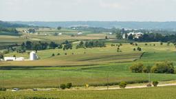 Find cheap flights from Shannon to Illinois