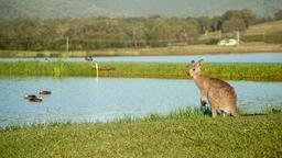 Hunter Valley hotels