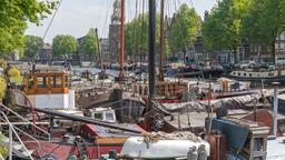Find cheap flights from Shannon to Amsterdam