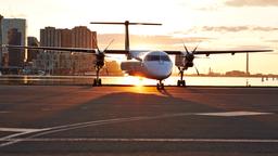 Find cheap flights on Porter Airlines