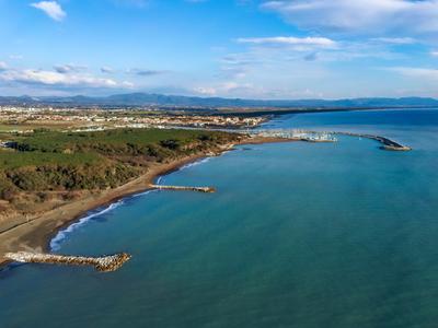 Cecina