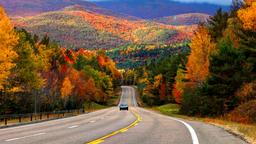 Find cheap flights from Kerry to New York