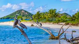 Grenada hotels