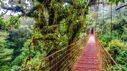 Arenal Volcano National Park holiday rentals