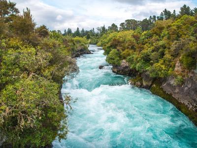 Taupo