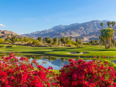 Palm Springs