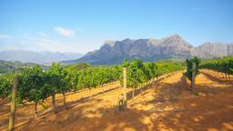 Find cheap flights to South Africa