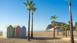 Find cheap flights to Alicante