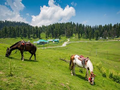 Gulmarg