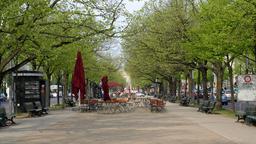 Find cheap flights from Dublin to Berlin Schönefeld