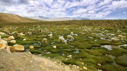 Atacama holiday rentals