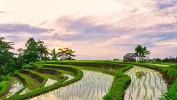 Tabanan Regency hotels