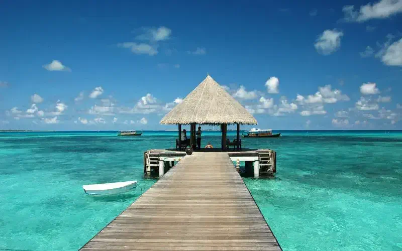©HappyShot/Shutterstock.com