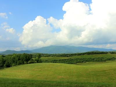 Dahlonega