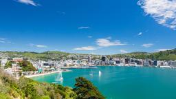 Find cheap flights to Wellington