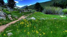 Rocky Mountain National Park holiday rentals