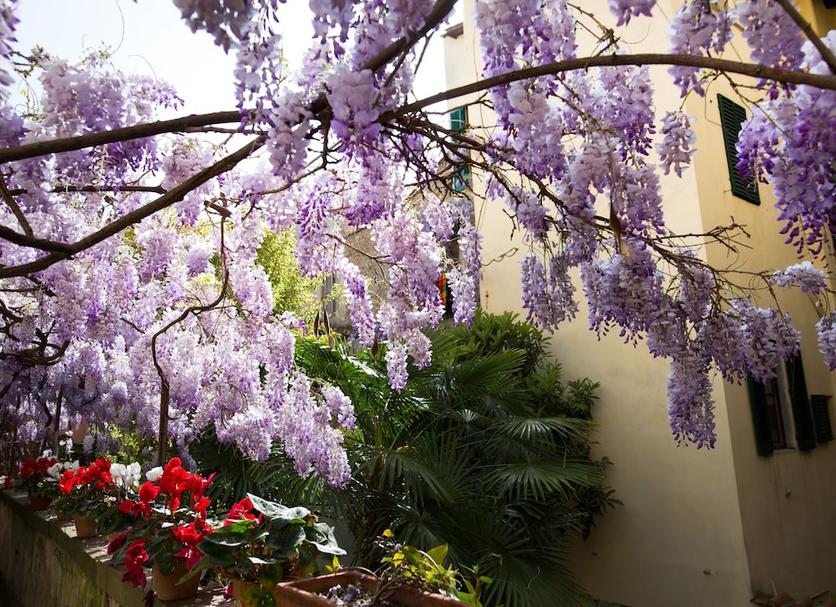 Outdoor view Photo