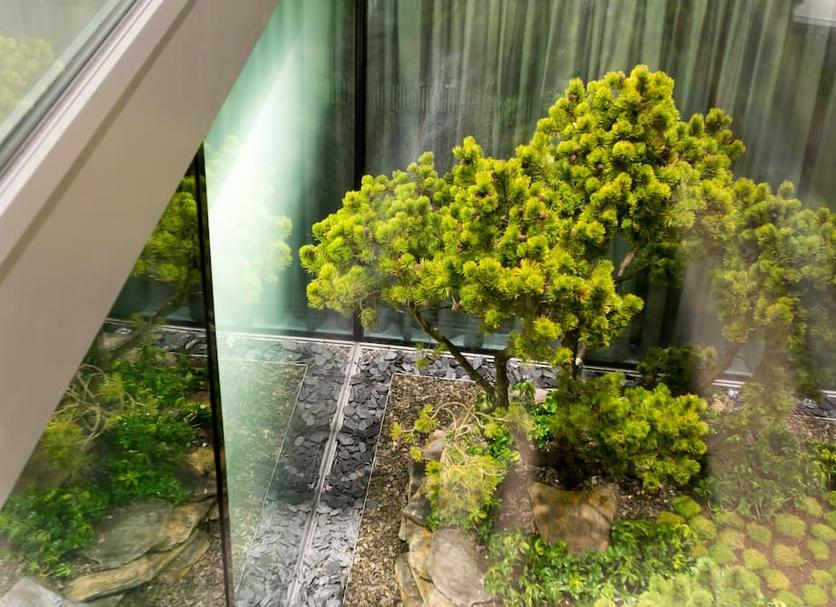 Outdoor view Photo