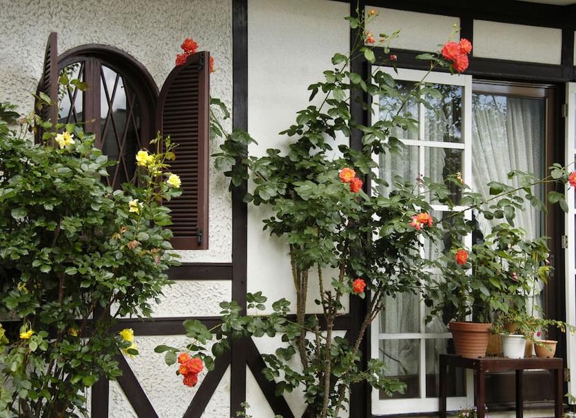 Outdoor view Photo