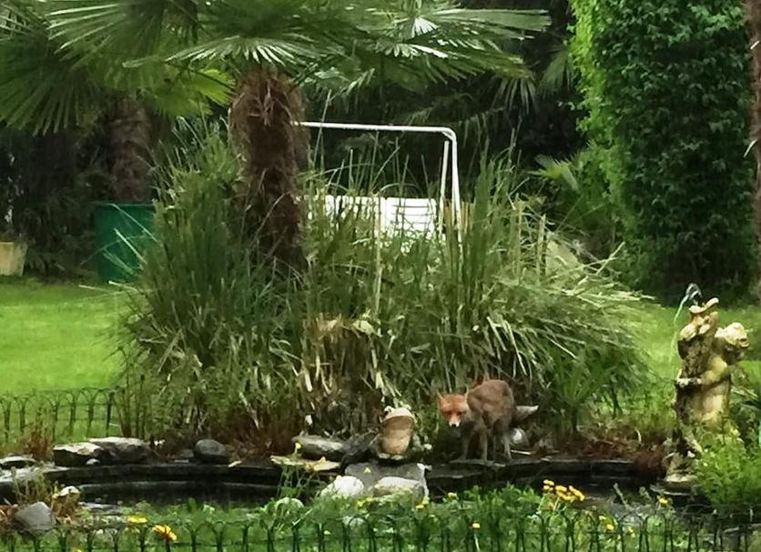 Outdoor view Photo