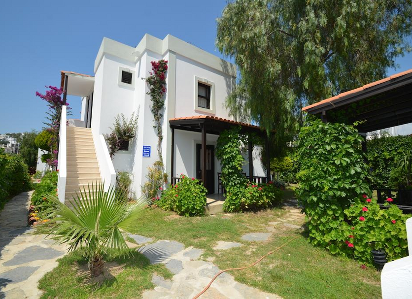 Other Photo