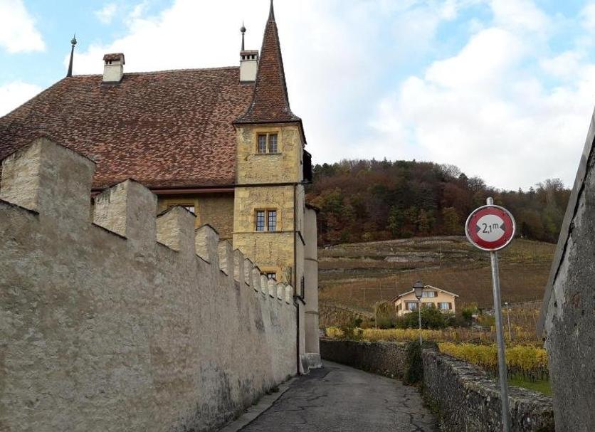 Other Photo