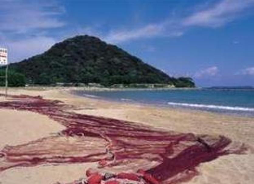 Beach Photo