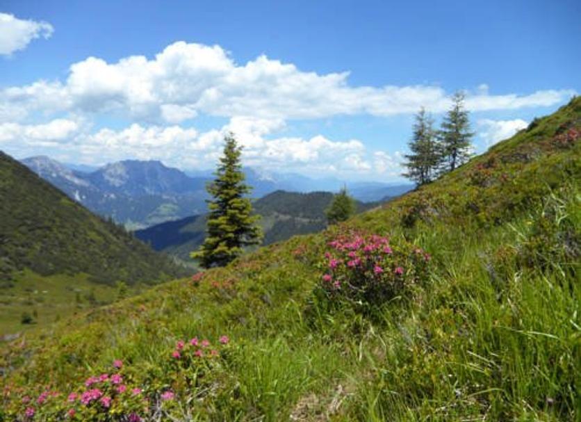 Outdoor view Photo