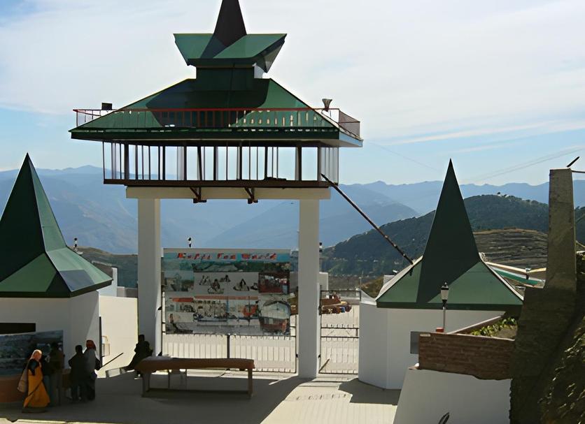 Other Photo
