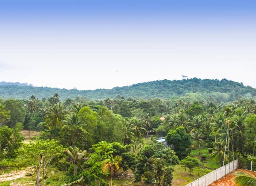 Outdoor view Photo