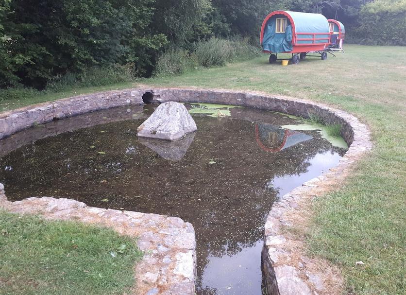 Other Photo