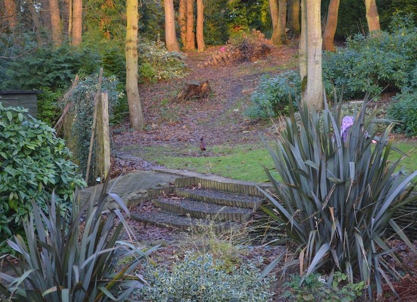Outdoor view Photo