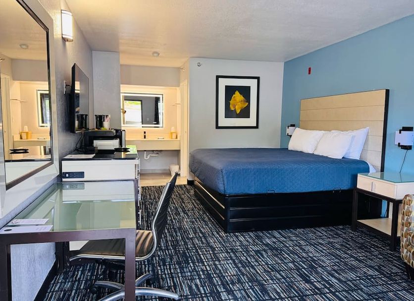 How to Choose the Perfect Wander Suites