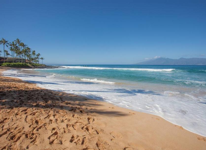 Beach Photo