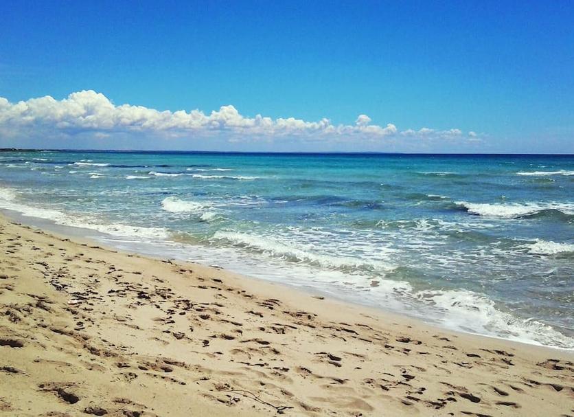 Beach Photo