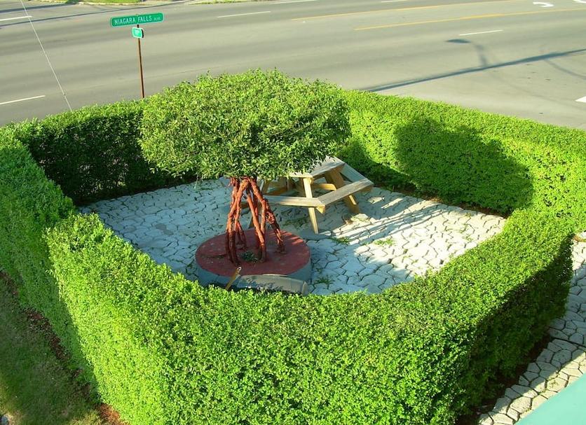 Other Photo