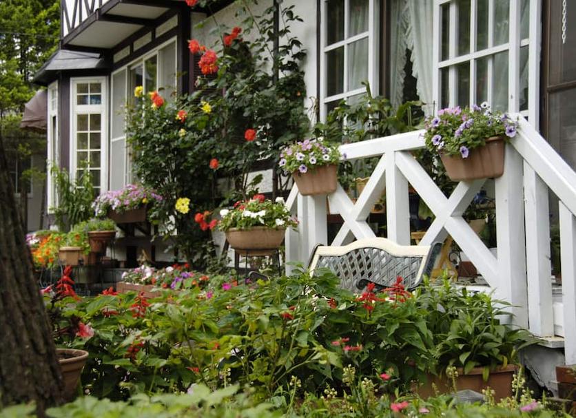 Patio Photo