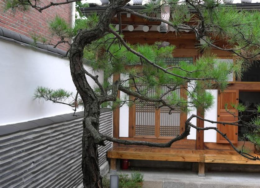 Outdoor view Photo
