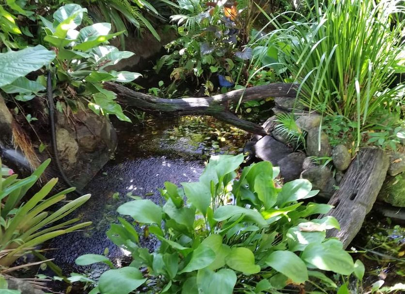 Outdoor view Photo
